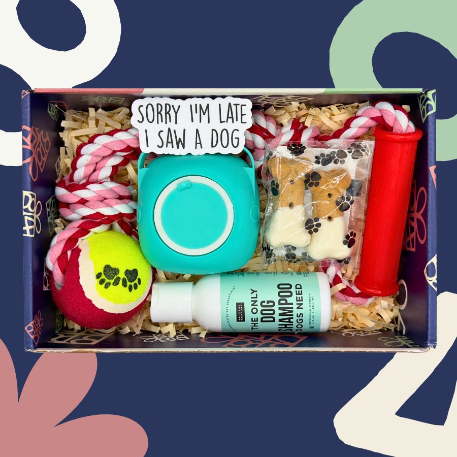 Downward Dog Gift Box featuring Dog Toy, Dog Treat, Dog Shampoo, Scrubber, and more.