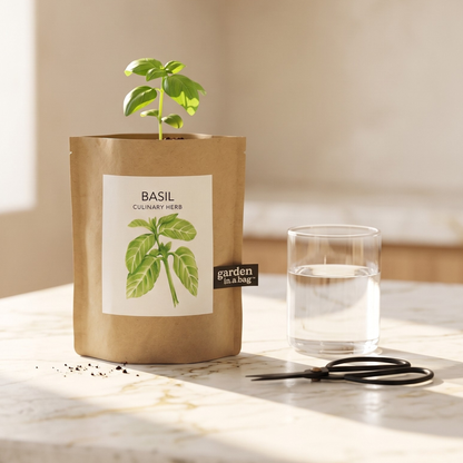 Garden in a Bag (Basil)