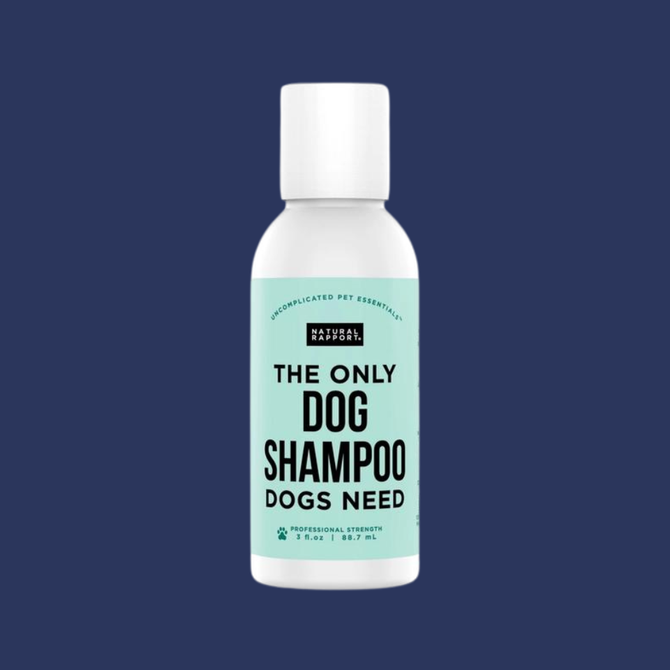 dog shampoo centrally placed on a navy background