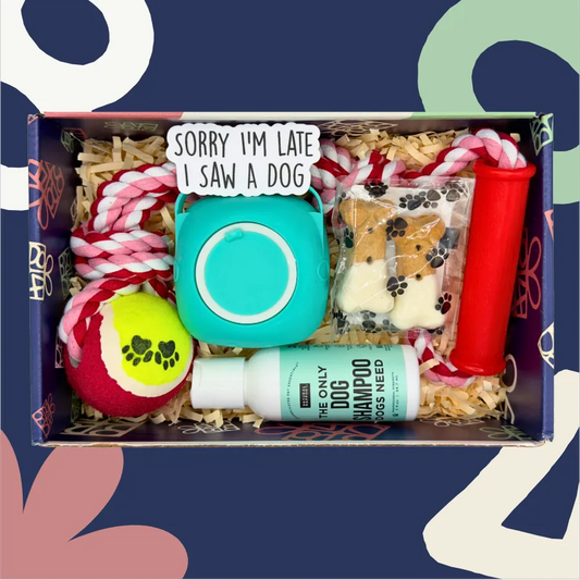 Dog-themed gift box with various items including a teal toy, a red ball, and a bottle labeled 'The Only Dog Shampoo Dogs Need' on a blue background.