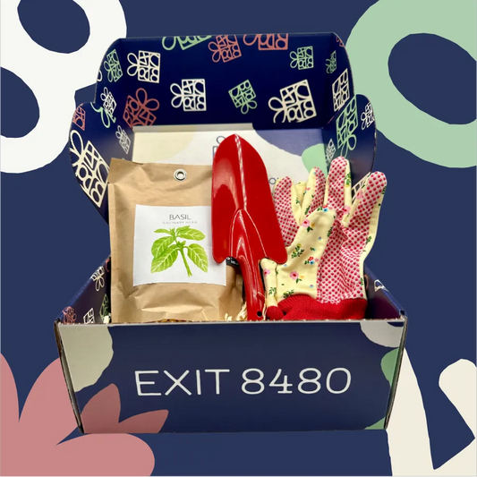 Gardening kit with gloves, trowel, and basil seeds in a box labeled 'EXIT 8480' on a blue background.