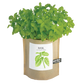 Potting Shed Creations, Ltd. Garden in a Bag, Basil